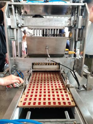 Gummy Candy Jelly Candy Making Machine voor het maken van snoep in 2022 jaar