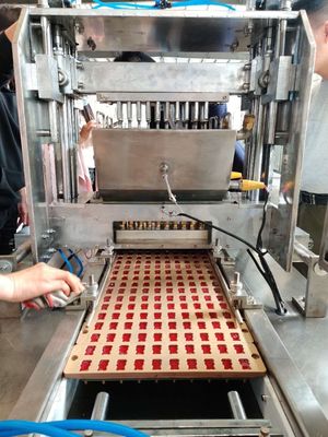 Volledig automatische zachte harde snoepmachine met 220V stroombron en gietfunctie