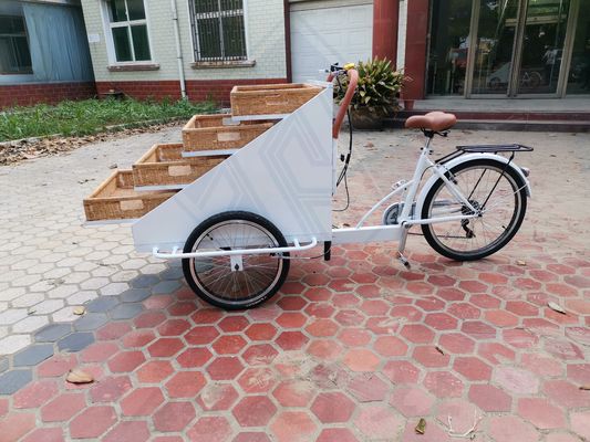 Video Technische Ondersteuning Op maat gemaakt Food Snack Truck Elektrische fiets voor Hot Food Cart