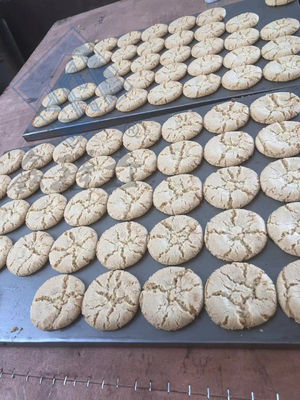 Industriële machine voor het verwerken van koekjes met een multifunctionele functie