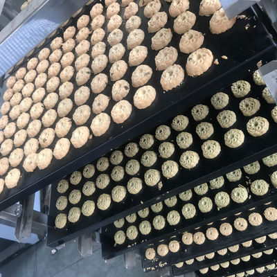 Volledig automatische industriële bakkerij Business Cookies Koekjes Walnoten Cake Maker