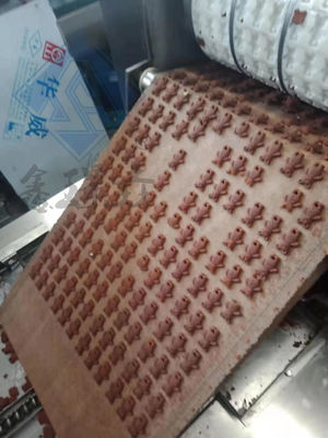Volledig automatische 2kw industriële ijskoekjes chocolade broodje koekjes maken machine