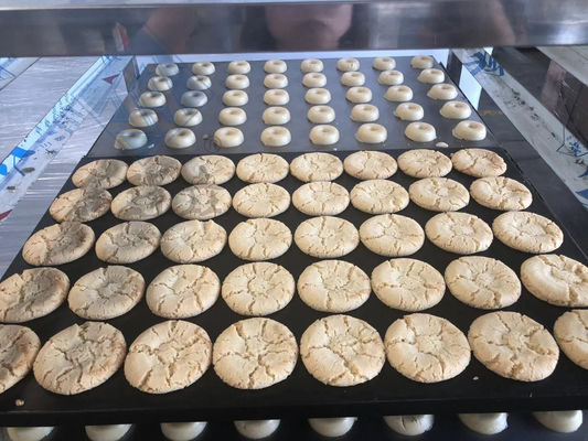 Industriële multifunctionele koekjebakker met multifunctionaliteit