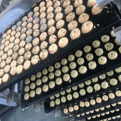 Commerciële machine voor het maken van koekjes voor zachte walnootkrusten 2350*780*1300mm