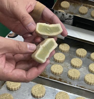 Multi-head incrustatie- en co-extruderingsmachine voor het vullen van koekjes