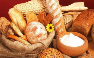 32 bakken Roterende gas industriële bakken Automatische oven voor elektrisch koekje brood