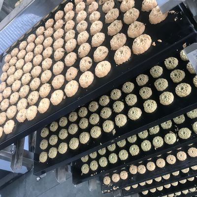 Automatische machine voor het maken van geavanceerde walnootcake-koekjes voor de bakkerijindustrie