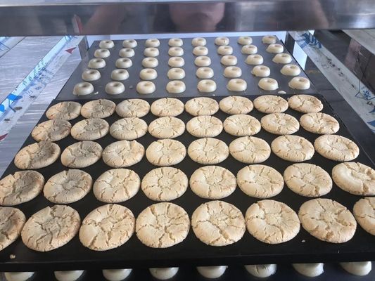 220V/380V Zout Crisp Melk Koekjes Machine Koekjes Maker voor uw voedselverwerkende behoeften