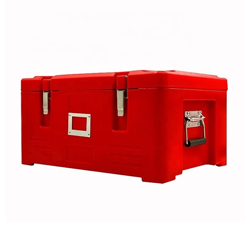 Plastic geïsoleerde lunchbox container voor vis transport magnetron en vaatwasser kluis